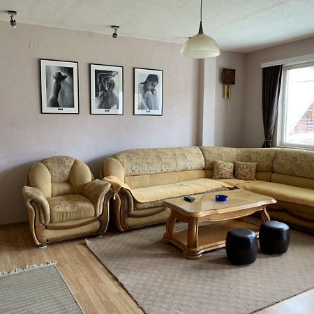 Apartmani Alo Alo プラヴ エクステリア 写真
