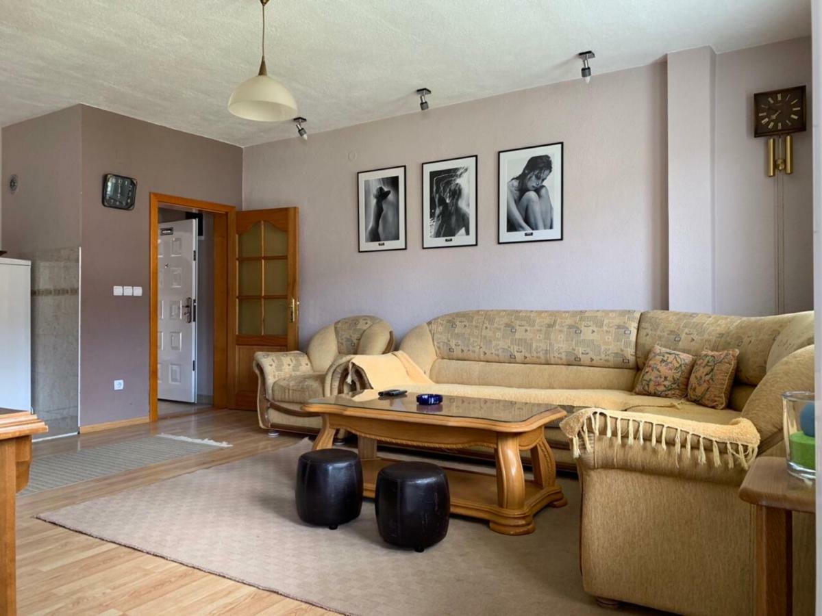 Apartmani Alo Alo プラヴ エクステリア 写真