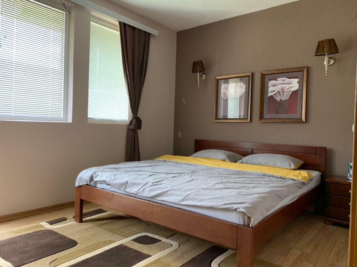Apartmani Alo Alo プラヴ エクステリア 写真